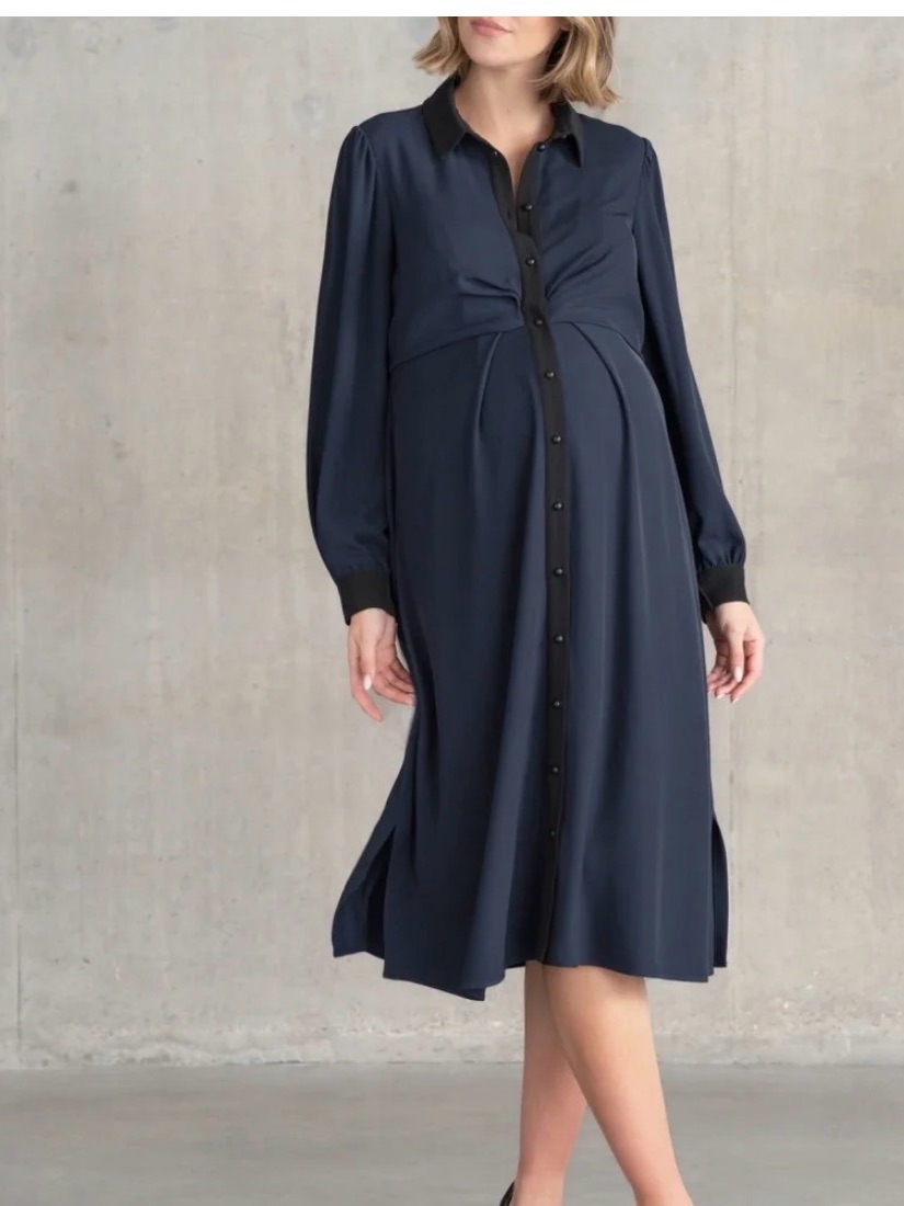 Seraphine Vivian Midi Shirt Maternity And Nursing Dress Nwt Size 8